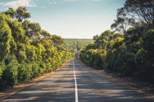 Straße zum Cape du Couedic durch dichte Küstenvegetation auf Kangaroo Island