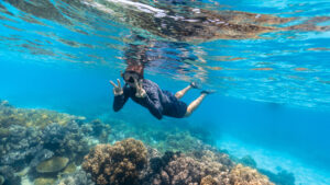Schnorchler über einem Korallenriff im klaren Wasser des Great Barrier Reef