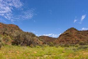 Felswände des Kings Canyon im Watarrka National Park